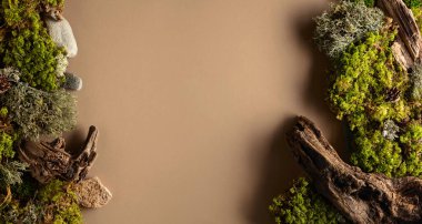 Soyut kuzey doğası sahnesi, bej arka planda liken, yosun ve eski pürüzler içeriyor. Üst Manzara. Boşluğu kopyala.