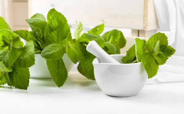 Fresh Spearmint Leaves White Ceramic Mortar Aromatherapy Spa Herbal Medicine — Stock Photo, Image