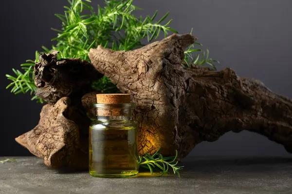 Rosemary Essential Oil Fresh Rosemary Old Snag Stone Background Copy Stock Image