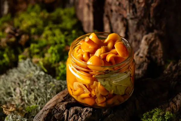 Hausgemachte Eingelegte Honigpilze Einem Glas Kleines Glas Mit Marinierten Pilzen — Stockfoto
