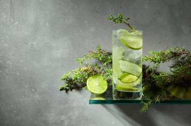 Buzlu, limonlu, salatalıklı ve ardıçlı cin tonik kokteyli. Gri duvarın arkasındaki sisli bardakta buzlu içecek. Boşluğu kopyala.