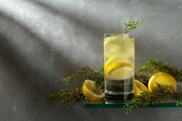 Cocktail Gin Tonique Aux Branches Glace Citron Genièvre Boisson Glacée — Photo