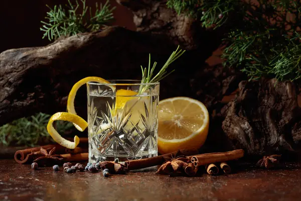 Gin Tonic Cocktail Lemon Cinnamon Anise Juniper Berries Background Old 免版税图库图片