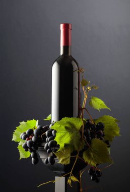 Siyah bir podyumda bir şişe kırmızı şarap. Mavi üzümlü ve asma dallı şarap. Boşluğu kopyala.