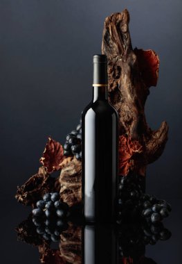 Eski bir pürüz ve mavi üzümlü bir şişe kırmızı şarap. Boşluğu kopyala.