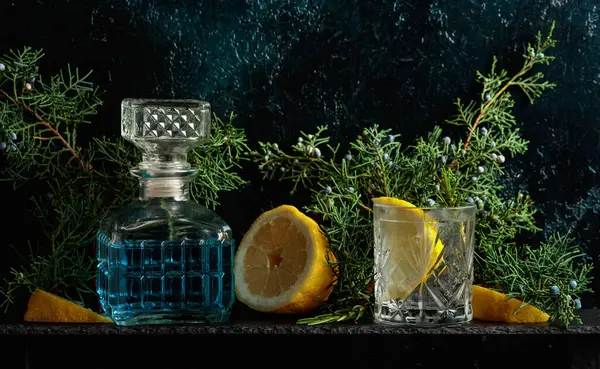Cocktail Gin Tonic Ice Lemon Rosemary Frozen Glass Refreshing Drink — Stock Photo, Image