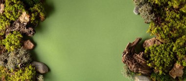 Yeşil arka planda liken, yosun ve eski pürüzlerden oluşan soyut bir kuzey doğası sahnesi. Üst Manzara. Boşluğu kopyala.