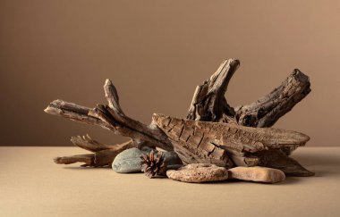 Taşlardan ve kuru pürüzlerden oluşan soyut doğa sahnesi. Kozmetik için bej arka plan, güzellik ürünü markalaşma, kimlik ve ambalaj. Boşluğu kopyala.