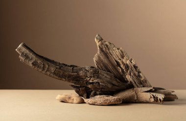 Bej bir arka planda taşlardan ve kuru pürüzlerden oluşan soyut doğa sahnesi. Boşluğu kopyala.