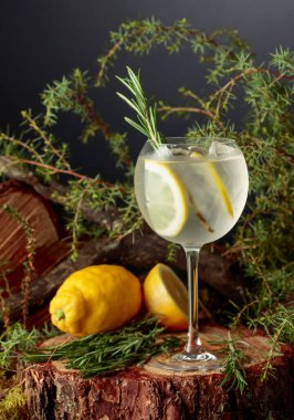 Limonlu ve biberiyeli cin ve tonik kokteyl. Donmuş bardakta soğuk, ferahlatıcı bir içecek..
