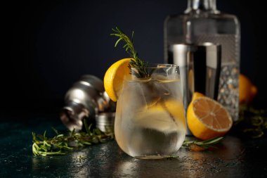 Buzlu, limonlu ve biberiyeli cin tonik. Donmuş bardaktaki doğal buzla ferahlatıcı içecek..