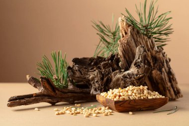 Çam fıstığı soyulmuş, sedir ağacı kurumuş ve yeşil dalları var. Bej bir arka planda ahşap tabakta çam fıstığı.