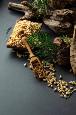 Çam fıstığı soyulmuş, sedir ağacı kurumuş ve yeşil dalları var. Siyah arka planda ahşap tabakta çam fıstığı.