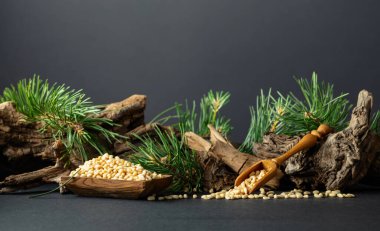 Çam fıstığı soyulmuş, sedir ağacı kurumuş ve yeşil dalları var. Siyah arka planda ahşap tabakta çam fıstığı.