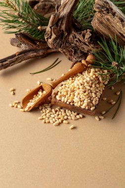 Çam fıstığı soyulmuş, sedir ağacı kurumuş ve yeşil dalları var. Bej bir arka planda ahşap tabakta çam fıstığı.