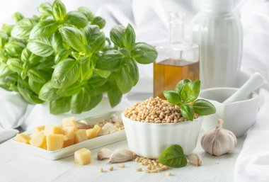 Pesto sosu yapmak için gerekli malzemeler. Fesleğen, çam fıstığı, sarımsak, parmesan ve beyaz ahşap bir masada zeytin yağı. Geleneksel İtalyan pesto tarifi.