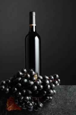 Juicy blue grapes and a bottle of red wine on a black background.