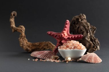 Pembe Himalaya tuzu, siyah arka planda pürüzler ve deniz kabukları. Boşluğu kopyala.