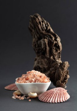 Pembe Himalaya tuzu, siyah arka planda pürüzler ve deniz kabukları. Boşluğu kopyala.