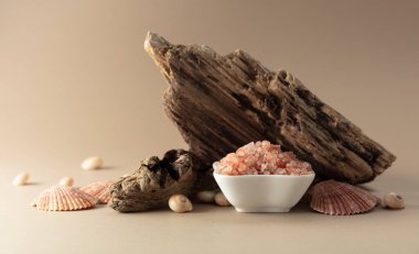 Pembe Himalaya tuzu, bej bir arka planda pürüzler ve deniz kabukları. Boşluğu kopyala.