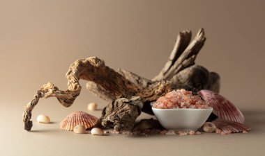 Pembe Himalaya tuzu, bej bir arka planda pürüzler ve deniz kabukları. Boşluğu kopyala.