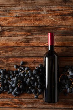 Eski ahşap bir masada mavi üzümler ve bir şişe kırmızı şarap. Boşluğu kopyala.