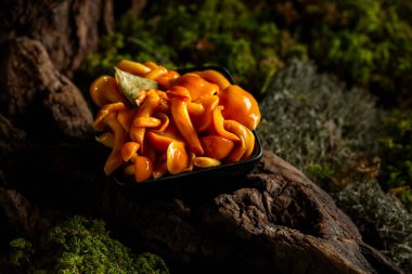 Siyah bir kasede ev yapımı ballı mantar turşusu. Ormanda salamura edilmiş mantarlar.