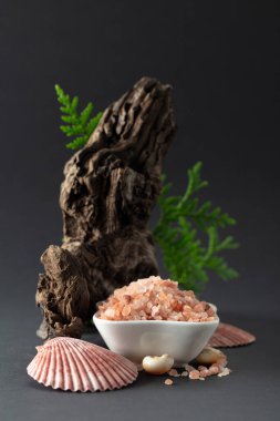 Pembe himalaya tuzu, pürüzlü yeşil thuja dalları ve deniz kabukları. Himalaya tuzu siyah arka planda beyaz kasede. Boşluğu kopyala.