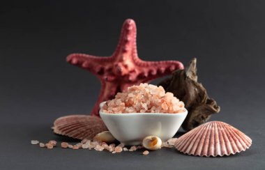 Pembe Himalaya tuzu, siyah arka planda pürüzler ve deniz kabukları. Boşluğu kopyala.