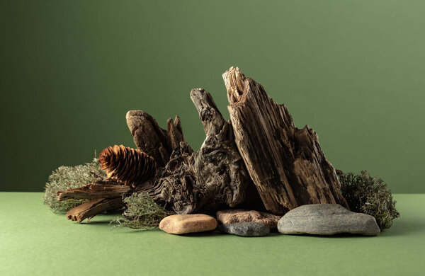 Abstract nature scene with a composition of moss, stones, and dry snags on a green background. Copy space.