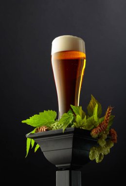 Glass of beer with green hops and wheat ears on a black podium. clipart