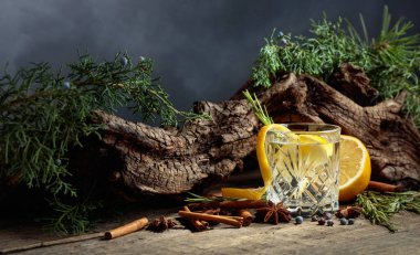 Limon, tarçın, anason ve ardıç meyveli kokteyl cin toniği. Arka planda eski pürüzler, ardıç dalları ve bulutlu bir gökyüzü.. 