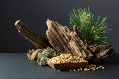 Çam fıstığı soyulmuş, sedir ağacı kurumuş ve yeşil dalları var. Siyah arka planda ahşap tabakta çam fıstığı.