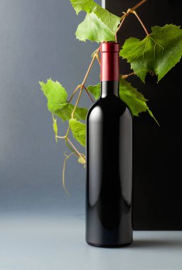 Bir şişe kırmızı şarap ve asma dalları. Boşluğu kopyala.