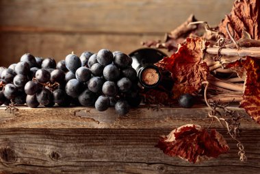 Bir şişe kırmızı şarap, üzümler ve eski ahşap bir masada kurutulmuş asma. Boşluğu kopyala.