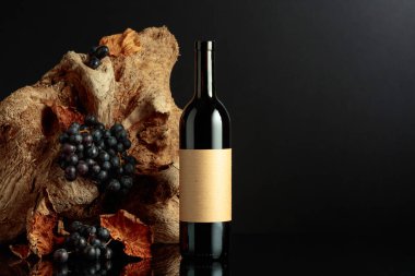 Bottle of red wine with empty label. In the background old snag and grapes with dried-up vine leaves. 