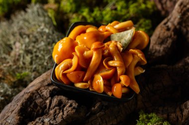 Siyah bir kasede ev yapımı ballı mantar turşusu. Ormanda salamura edilmiş mantarlar.