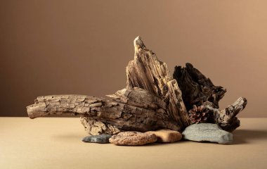 Taşlardan ve kuru pürüzlerden oluşan soyut doğa sahnesi. Kozmetik için bej arka plan, güzellik ürünü markalaşma, kimlik ve ambalaj. Boşluğu kopyala.