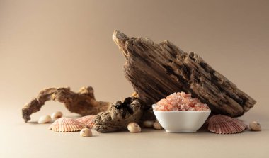 Pembe Himalaya tuzu, bej bir arka planda pürüzler ve deniz kabukları. Boşluğu kopyala.