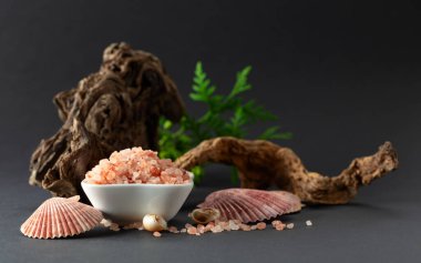 Pembe himalaya tuzu, pürüzlü yeşil thuja dalları ve deniz kabukları. Himalaya tuzu siyah arka planda beyaz kasede. Boşluğu kopyala.