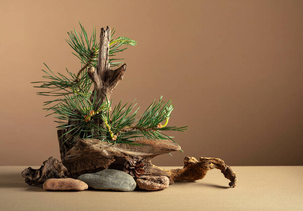 Abstract nature scene with a composition of pine branches, stones, and dry snags. Beige background for cosmetics, beauty product branding, identity, and packaging. Copy space.