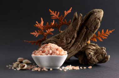 Pembe himalaya tuzu, pürüzler, eşkıya dalları ve deniz kabukları. Himalaya tuzu siyah arka planda beyaz kasede. Boşluğu kopyala.