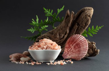 Pembe himalaya tuzu, pürüzlü yeşil thuja dalları ve deniz kabukları. Himalaya tuzu siyah arka planda beyaz kasede. Boşluğu kopyala.