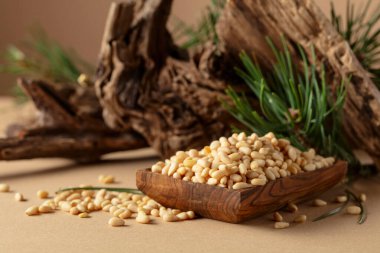 Çam fıstığı soyulmuş, sedir ağacı kurumuş ve yeşil dalları var. Bej bir arka planda ahşap tabakta çam fıstığı.