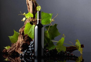 Mavi üzümlü bir şişe kırmızı şarap ve üzüm dalları. Boşluğu kopyala.