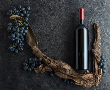 Bir şişe kırmızı şarap, mavi üzüm ve siyah taşlı arka planda eski asma parçaları. Üst Manzara. Boşluğu kopyala.