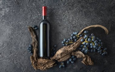 Bir şişe kırmızı şarap, mavi üzüm ve siyah taşlı arka planda eski asma parçaları. Üst Manzara. Boşluğu kopyala.