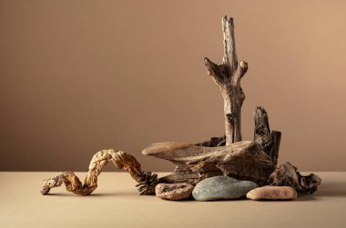 Taşlardan ve kuru pürüzlerden oluşan soyut doğa sahnesi. Kozmetik için bej arka plan, güzellik ürünü markalaşma, kimlik ve ambalaj. Boşluğu kopyala.