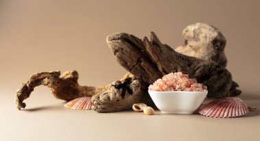 Pembe Himalaya tuzu, bej bir arka planda pürüzler ve deniz kabukları. Boşluğu kopyala.