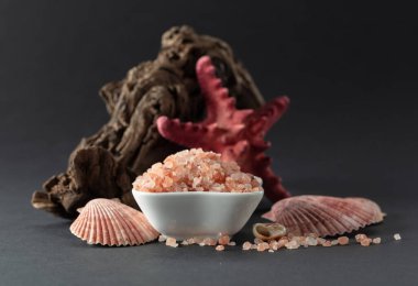 Pembe Himalaya tuzu, siyah arka planda pürüzler ve deniz kabukları. Boşluğu kopyala.